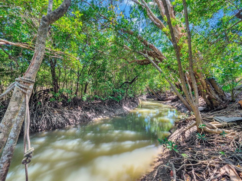 16 Connemara Close, Trinity Beach QLD 4879