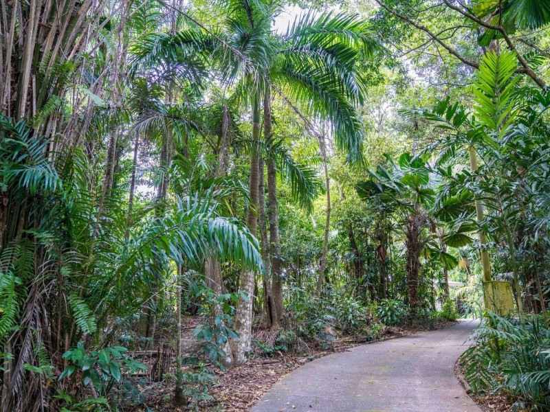 18 Butler Drive, Kuranda QLD 4881