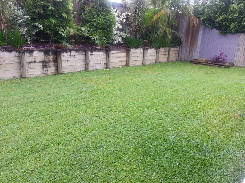 3 Thooler Vista, Trinity Park QLD 4879