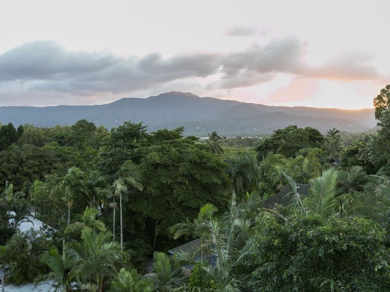 5 Ray Street, Yorkeys Knob QLD 4878