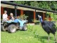 1150 Bramston Beach Road, Bramston Beach QLD 4871