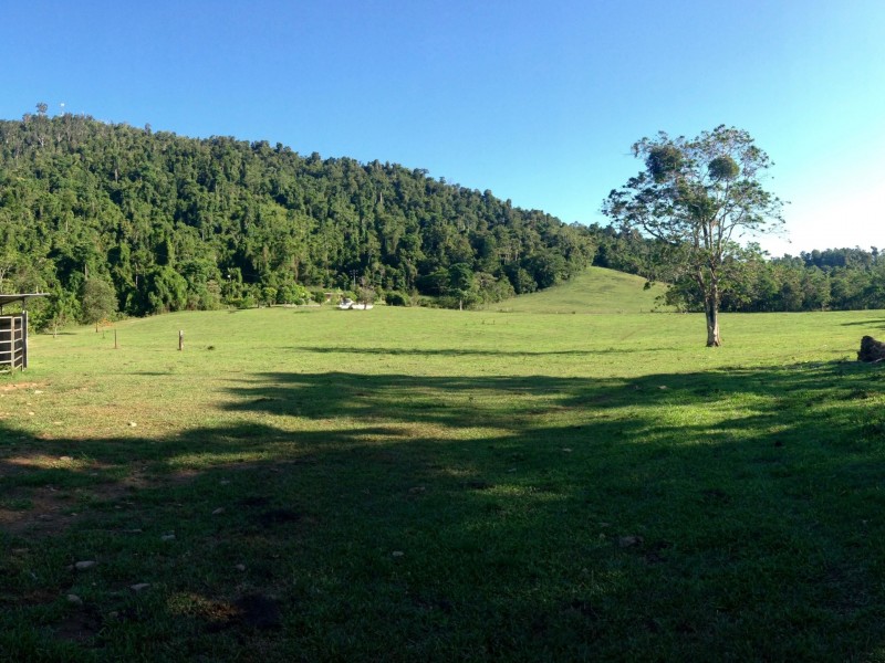 1150 Bramston Beach Road, Bramston Beach QLD 4871