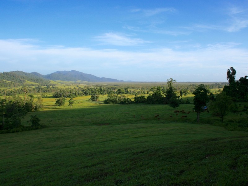 1150 Bramston Beach Road, Bramston Beach QLD 4871