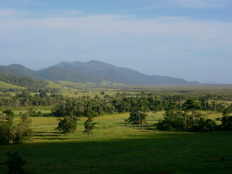 1150 Bramston Beach Road, Bramston Beach QLD 4871