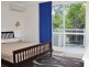 319 Coral Coast Drive, Palm Cove QLD 4879