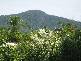 26 Majestic Close, Aeroglen QLD 4870