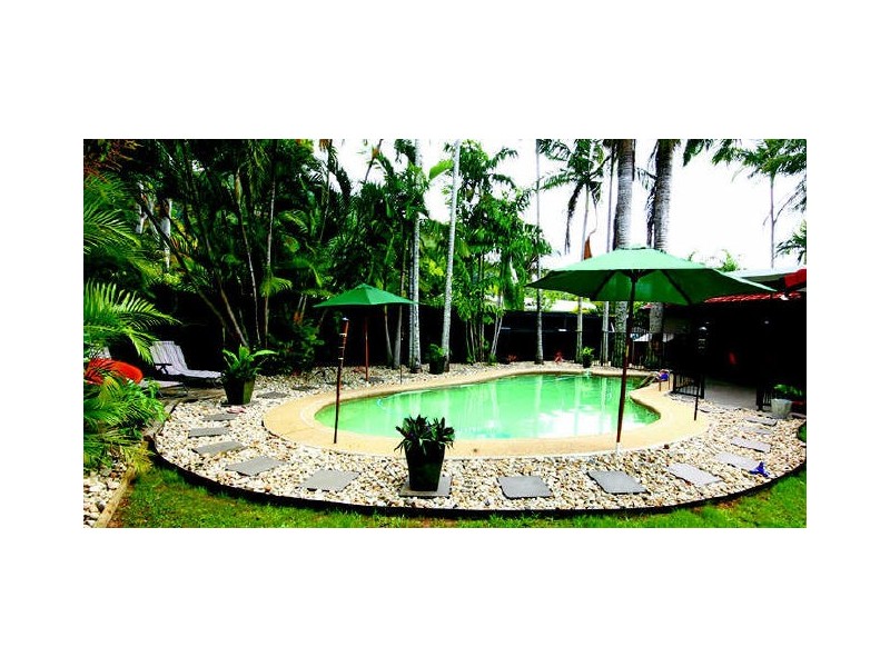 65 Terebra Street, Palm Cove QLD 4879