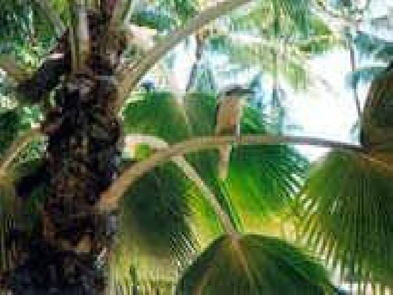 Yorkeys Knob QLD 4878