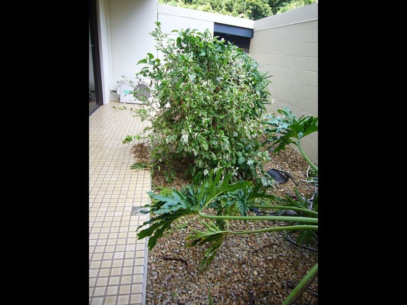 3/119 Arlington Esplanade, Clifton Beach QLD 4879