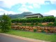 Redlynch QLD 4870