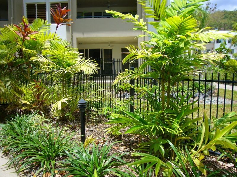Clifton Beach QLD 4879