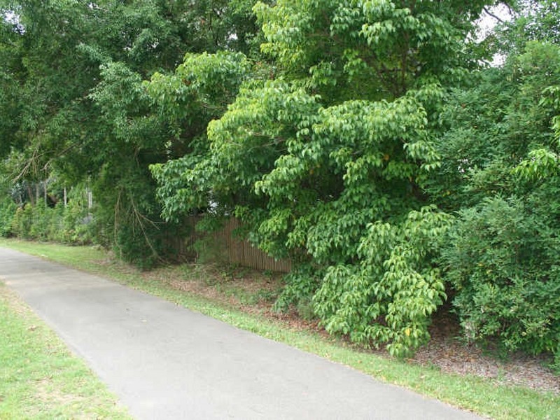 Brinsmead QLD 4870