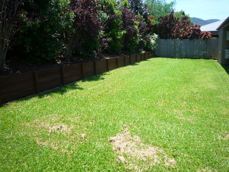 26 Bullrush Terrace, Kewarra Beach QLD 4879