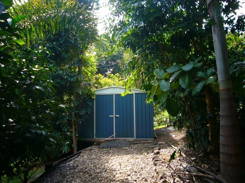 17 Frond Close, Redlynch QLD 4870