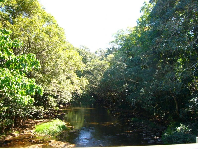 19 Jak Gee Street, Redlynch QLD 4870