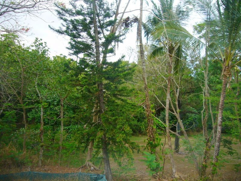 20-38 Sandwich Street, Kamerunga QLD 4870