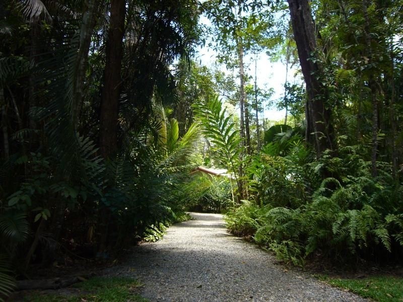 56 Bangalow Place, Kuranda QLD 4881