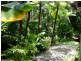 56 Bangalow Place, Kuranda QLD 4881