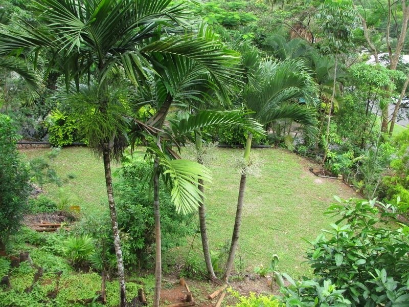 1 Marcia Close, Smithfield QLD 4878