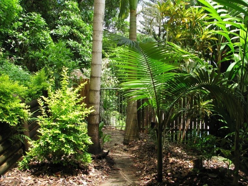 1 Marcia Close, Smithfield QLD 4878