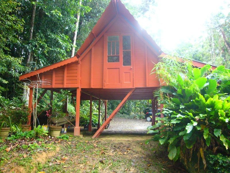 11 Weir Street, Kuranda QLD 4881