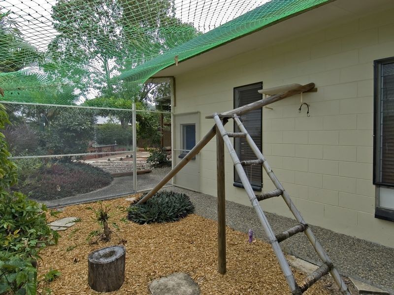 26 Debbie Street, Trinity Park QLD 4879