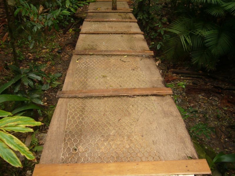 347 Black Mountain Rd, Kuranda QLD 4881