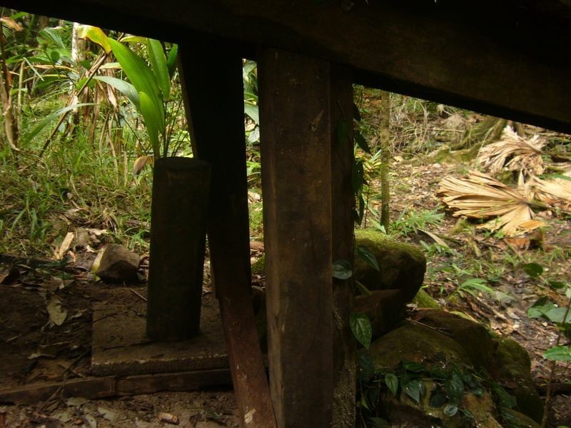 347 Black Mountain Rd, Kuranda QLD 4881