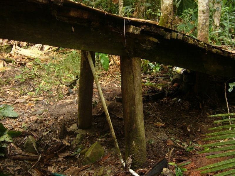 347 Black Mountain Rd, Kuranda QLD 4881