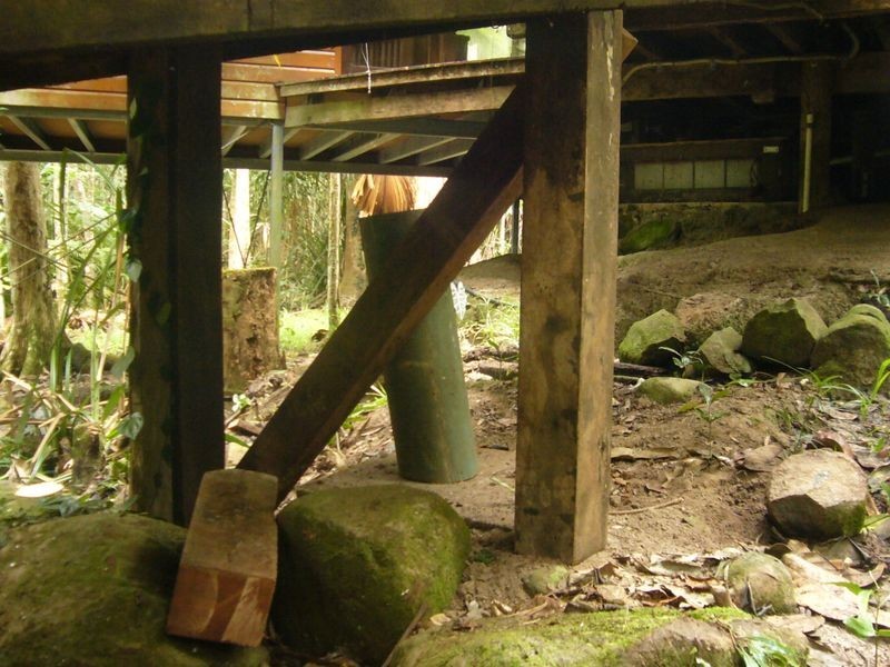 347 Black Mountain Rd, Kuranda QLD 4881