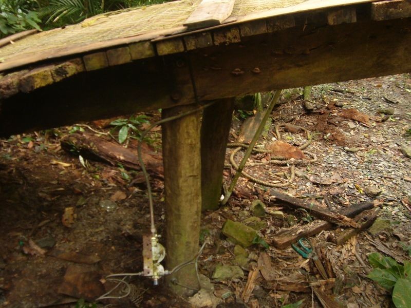 347 Black Mountain Rd, Kuranda QLD 4881