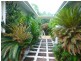36 Orton Avenue, Kewarra Beach QLD 4879