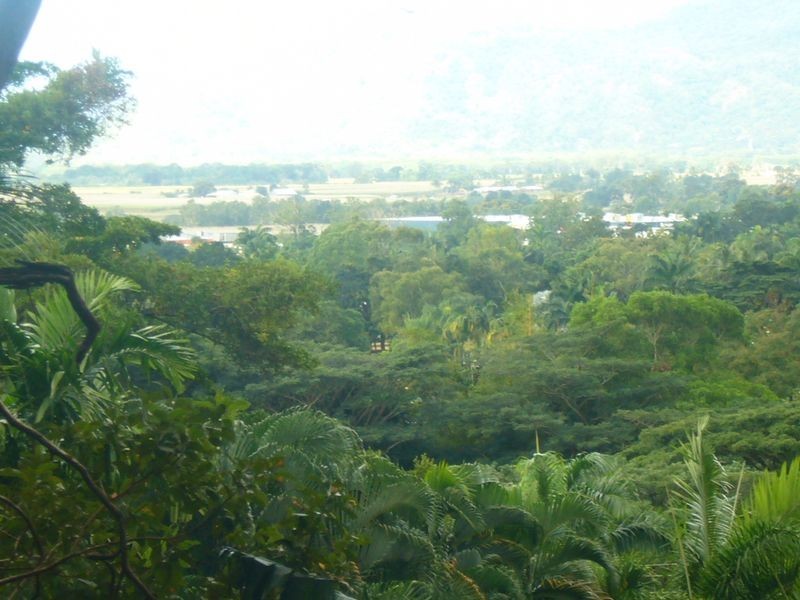 Lot 10 Flinders Court, Smithfield QLD 4878