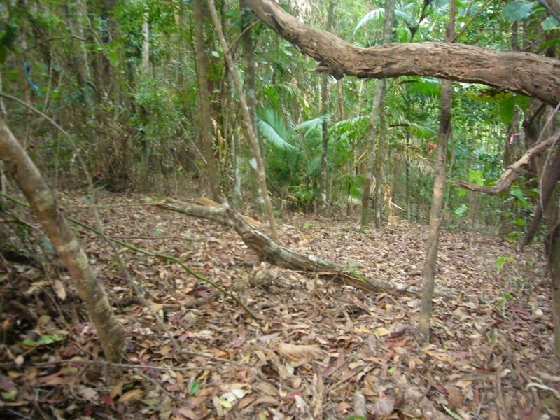 Lot 10 Flinders Court, Smithfield QLD 4878