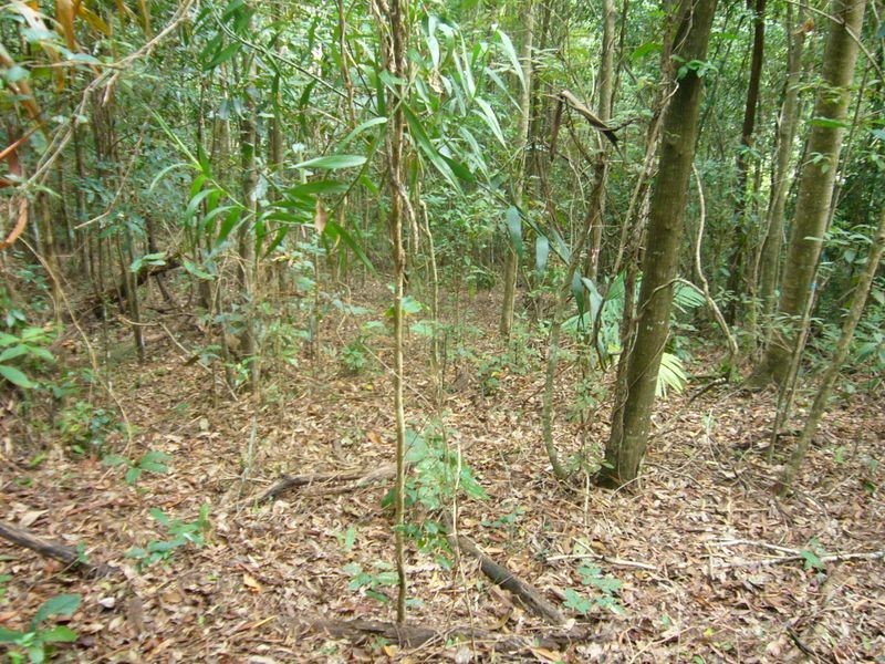 Lot 10 Flinders Court, Smithfield QLD 4878