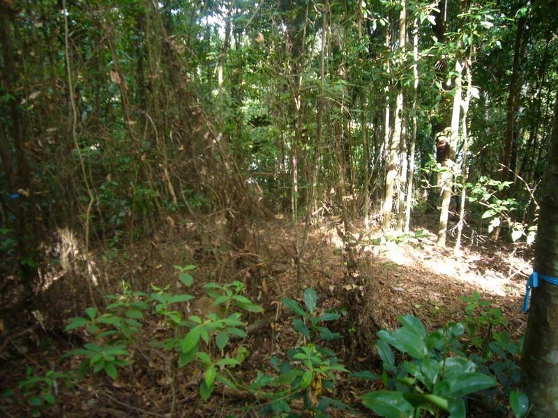 Lot 10 Flinders Court, Smithfield QLD 4878