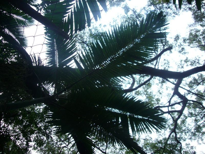 Lot 10 Flinders Court, Smithfield QLD 4878