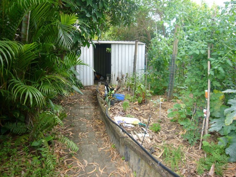 31 Cabarita Street, Kewarra Beach QLD 4879