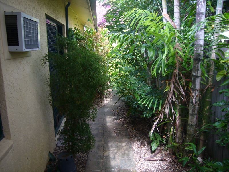 31 Cabarita Street, Kewarra Beach QLD 4879