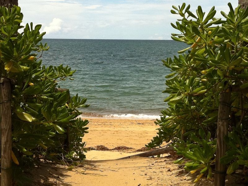 14/63 Vasey Esplanade, Trinity Beach QLD 4879