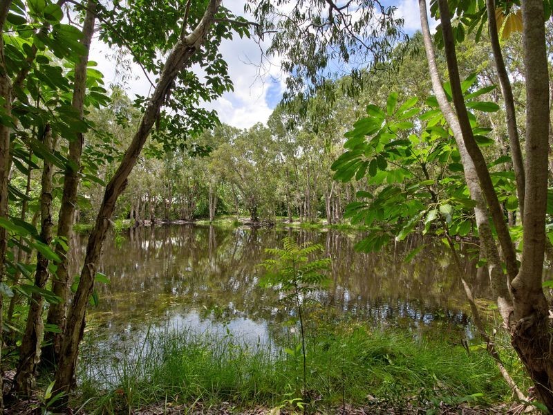 12 Brolga Street, Kewarra Beach QLD 4879