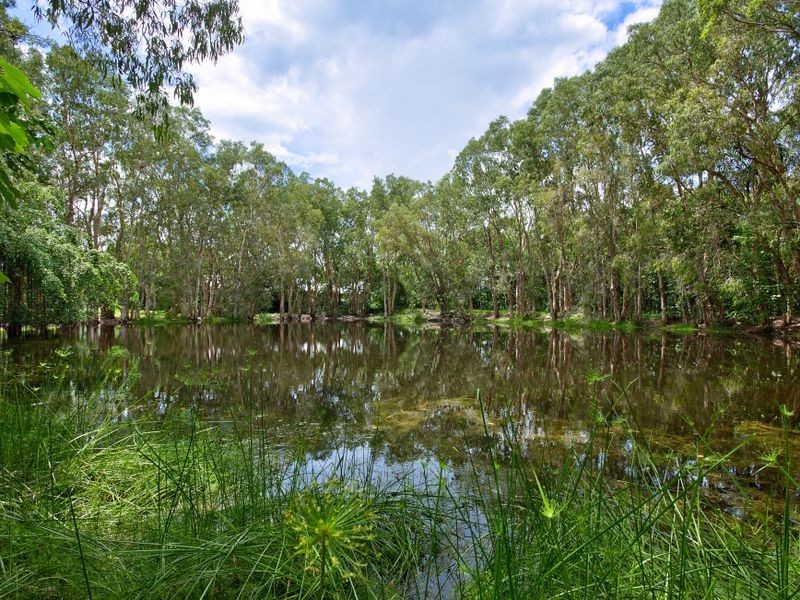 12 Brolga Street, Kewarra Beach QLD 4879