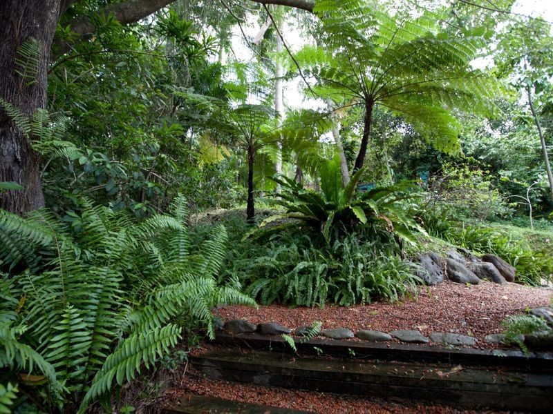 70-72 Fig Tree Drive, Smithfield QLD 4878