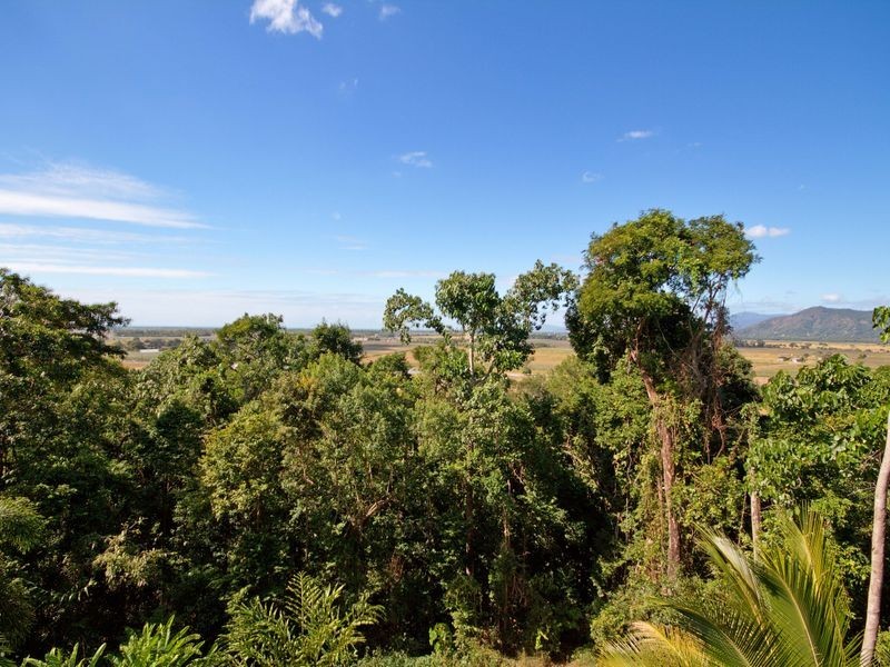 70-72 Fig Tree Drive, Smithfield QLD 4878