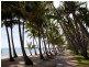 1/32 Oliva Street, Palm Cove QLD 4879