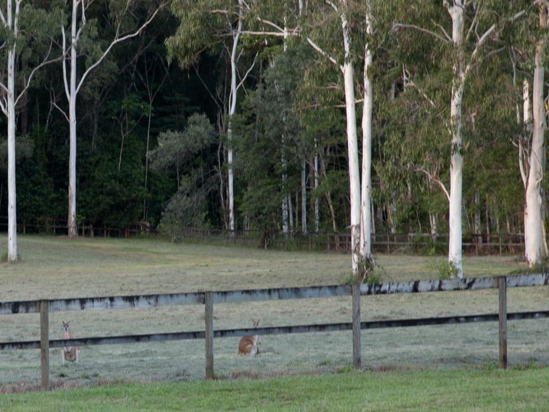 89 Veivers Dr, Speewah QLD 4881