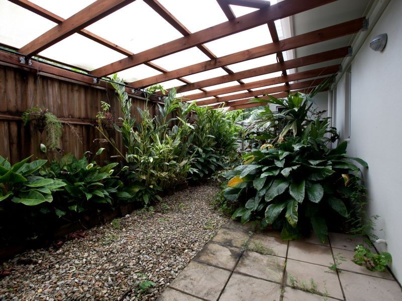 41 Muller Street, Palm Cove QLD 4879