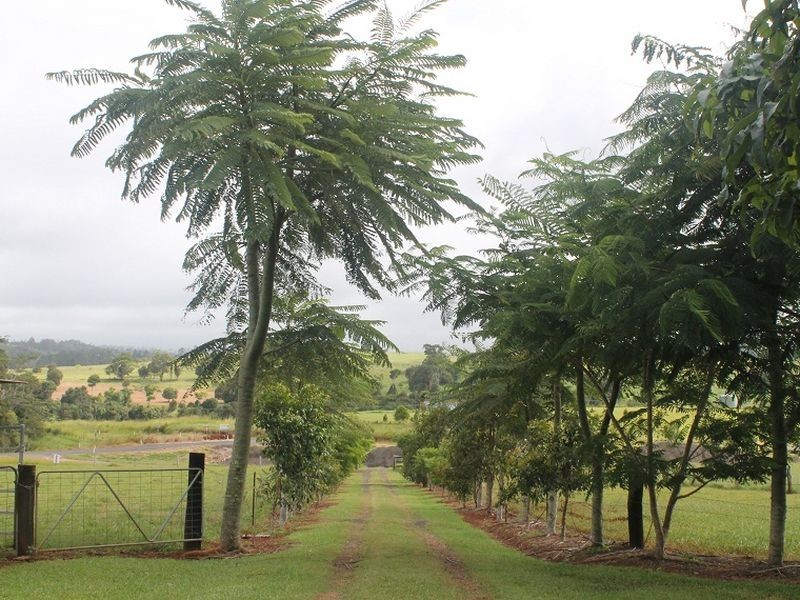 5 Topaz Road, Malanda QLD 4885