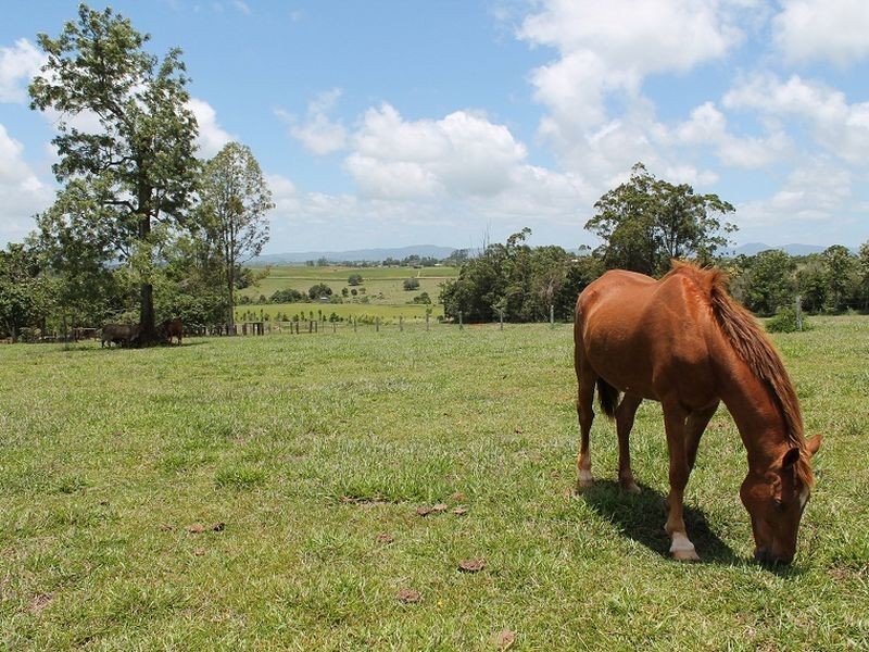 5 Topaz Road, Malanda QLD 4885
