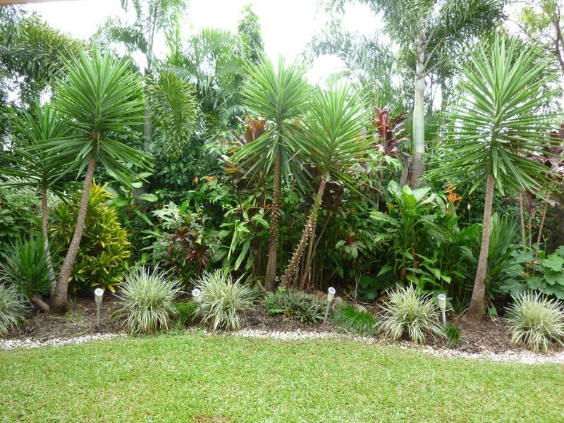 10 Alva Close, Kewarra Beach QLD 4879